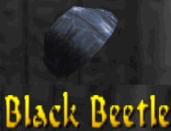 Tr4 black beetle.PNG