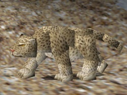 Snowleopard gm.jpg
